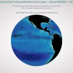 Day 45: NASA chlorophyll ocean globe animation - #100DayMapChallenge
