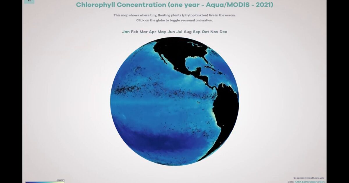 Day 45: NASA chlorophyll ocean globe animation - #100DayMapChallenge