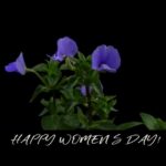 Day 62: Flowers Women's Day WebGL tribute - #100DayMapChallenge