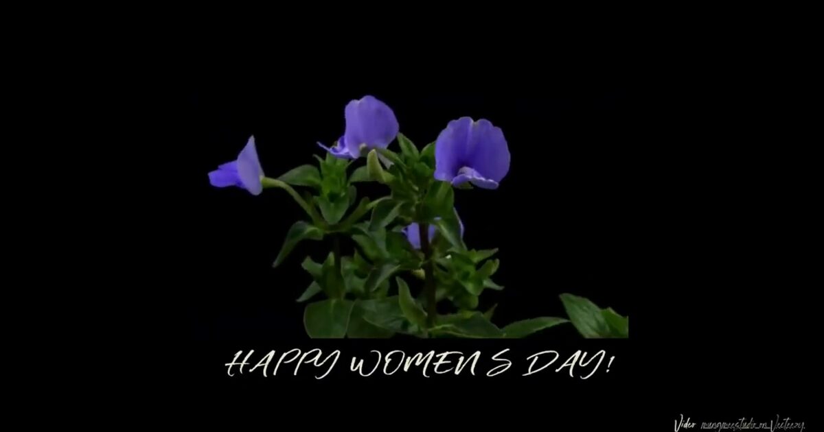 Day 62: Flowers Women's Day WebGL tribute - #100DayMapChallenge